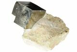 Shiny, Natural Pyrite Cube In Rock - Navajun, Spain #118268-1
